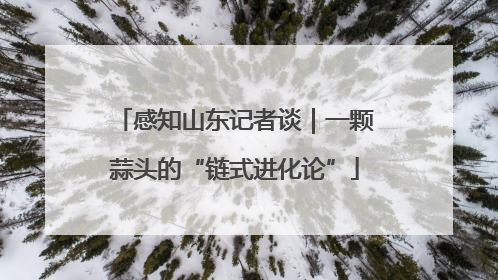 感知山东记者谈｜一颗蒜头的“链式进化论”
