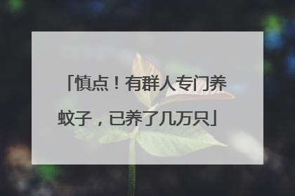 慎点！有群人专门养蚊子，已养了几万只