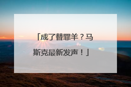 成了替罪羊？马斯克最新发声！