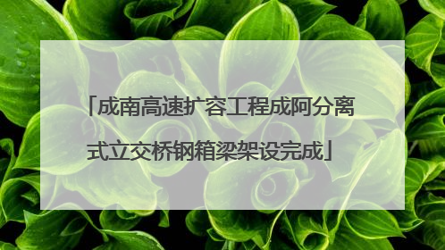 成南高速扩容工程成阿分离式立交桥钢箱梁架设完成