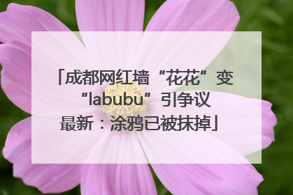 成都网红墙“花花”变“labubu”引争议 最新：涂鸦已被抹掉