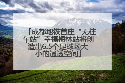 成都地铁首座“无柱车站”幸福梅林站将创造出6.5个足球场大小的通透空间