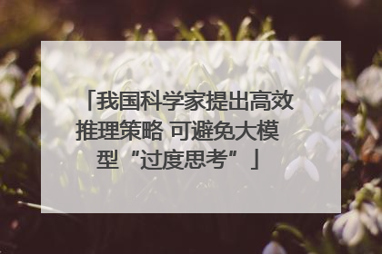 我国科学家提出高效推理策略 可避免大模型“过度思考”