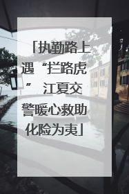 执勤路上遇“拦路虎” 江夏交警暖心救助化险为夷