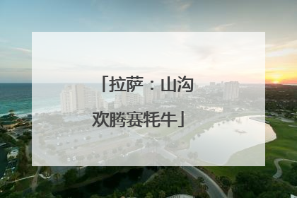 拉萨：山沟欢腾赛牦牛