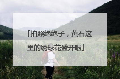拍照绝绝子，黄石这里的绣球花盛开啦