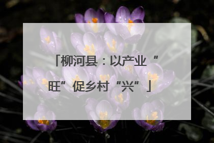 柳河县：以产业“旺”促乡村“兴”