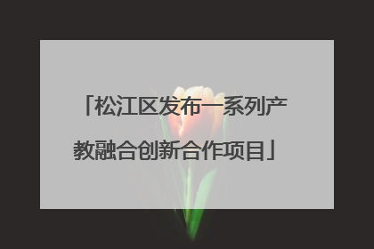 松江区发布一系列产教融合创新合作项目