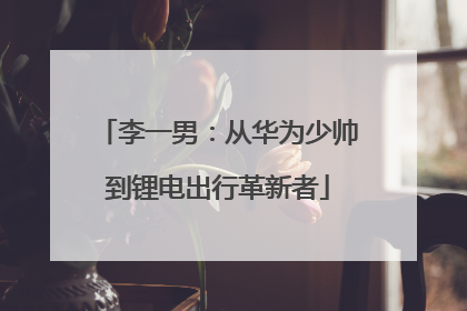李一男：从华为少帅到锂电出行革新者