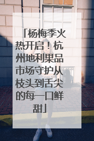 杨梅季火热开启！杭州地利果品市场守护从枝头到舌尖的每一口鲜甜
