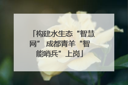 构建水生态“智慧网” 成都青羊“智能哨兵”上岗