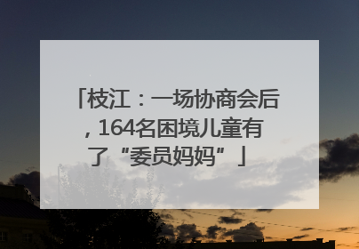 枝江：一场协商会后，164名困境儿童有了“委员妈妈”
