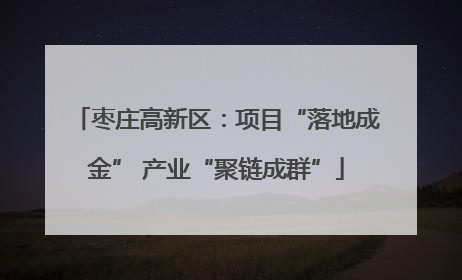 枣庄高新区：项目“落地成金” 产业“聚链成群”