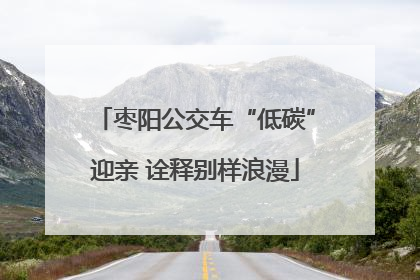枣阳公交车“低碳”迎亲 诠释别样浪漫