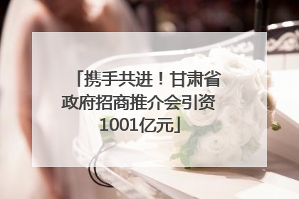 携手共进！甘肃省政府招商推介会引资1001亿元