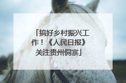 搞好乡村振兴工作！《人民日报》关注贵州侗寨