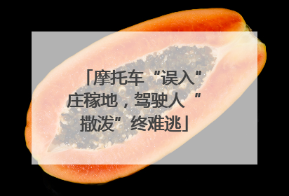摩托车“误入”庄稼地，驾驶人“撒泼”终难逃