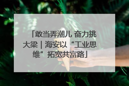 敢当弄潮儿 奋力挑大梁｜海安以“工业思维”拓宽共富路