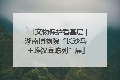 文物保护看基层｜湖南博物院“长沙马王堆汉墓陈列”展
