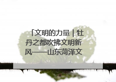 文明的力量｜牡丹之都吹拂文明新风——山东菏泽文明创建一线见闻