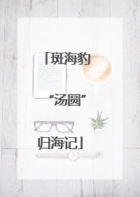 斑海豹“汤圆”归海记