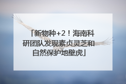 新物种+2！海南科研团队发现素贞灵芝和自然保护地壁虎