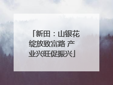 新田：山银花绽放致富路 产业兴旺促振兴