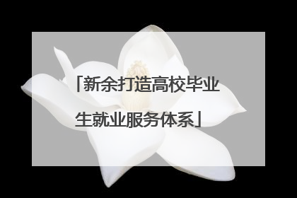 新余打造高校毕业生就业服务体系