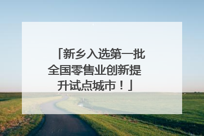 新乡入选第一批全国零售业创新提升试点城市！