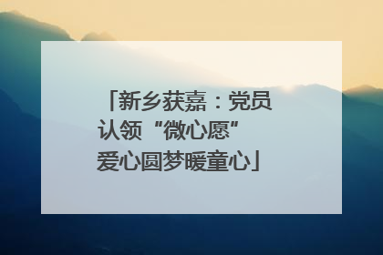 新乡获嘉：党员认领“微心愿” 爱心圆梦暖童心