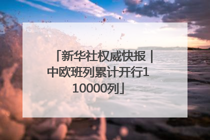 新华社权威快报｜中欧班列累计开行110000列