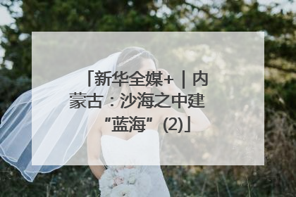 新华全媒+｜内蒙古：沙海之中建“蓝海”(2)