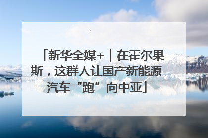 新华全媒+｜在霍尔果斯，这群人让国产新能源汽车“跑”向中亚