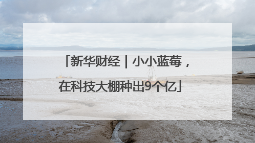 新华财经｜小小蓝莓，在科技大棚种出9个亿