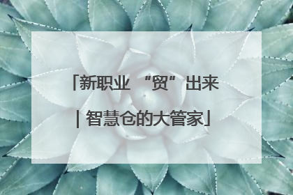 新职业 “贸”出来｜智慧仓的大管家