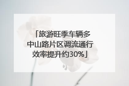 旅游旺季车辆多 中山路片区调流通行效率提升约30%