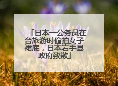 日本一公务员在台旅游时偷拍女子裙底，日本岩手县政府致歉
