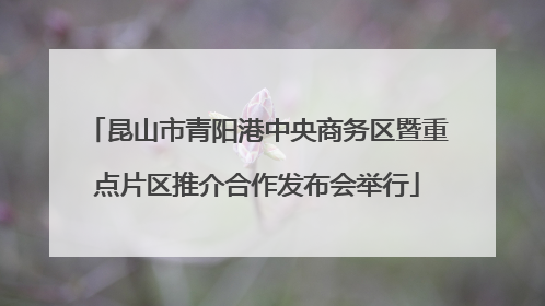 昆山市青阳港中央商务区暨重点片区推介合作发布会举行