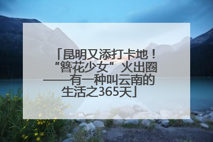 昆明又添打卡地！“簪花少女”火出圈——有一种叫云南的生活之365天