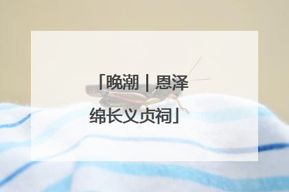 晚潮｜恩泽绵长义贞祠
