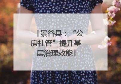 景谷县：“公房社管”提升基层治理效能