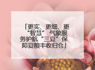 更实、更细、更“智慧” 气象服务护航“三夏”保障夏粮丰收归仓