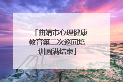 曲靖市心理健康教育第二次巡回培训圆满结束