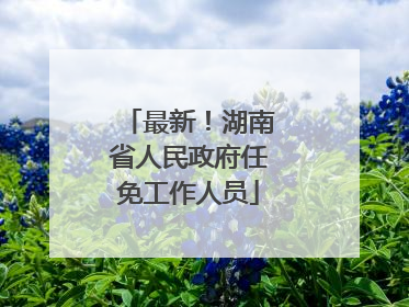 最新！湖南省人民政府任免工作人员