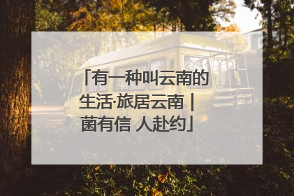 有一种叫云南的生活·旅居云南｜菌有信 人赴约