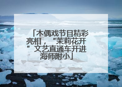 木偶戏节目精彩亮相，“茉莉花开”文艺直通车开进海师附小