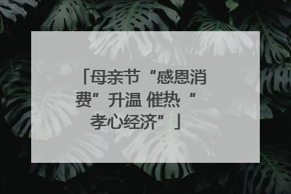 母亲节“感恩消费”升温 催热“孝心经济”