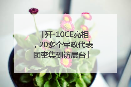 歼-10CE亮相，20多个军政代表团密集到访展台