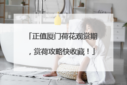 正值厦门荷花观赏期，赏荷攻略快收藏！