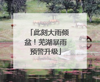 此刻大雨倾盆！芜湖暴雨预警升级